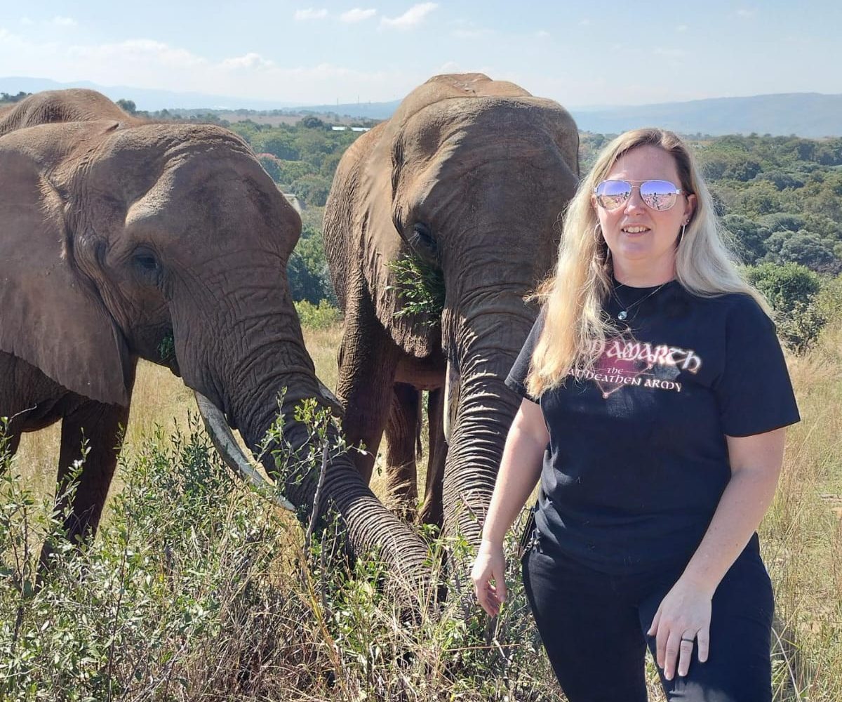 Walking with Elephants