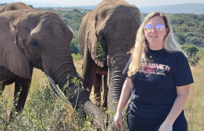 Walking with Elephants