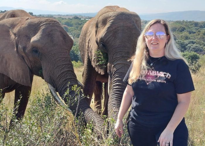 Walking with Elephants