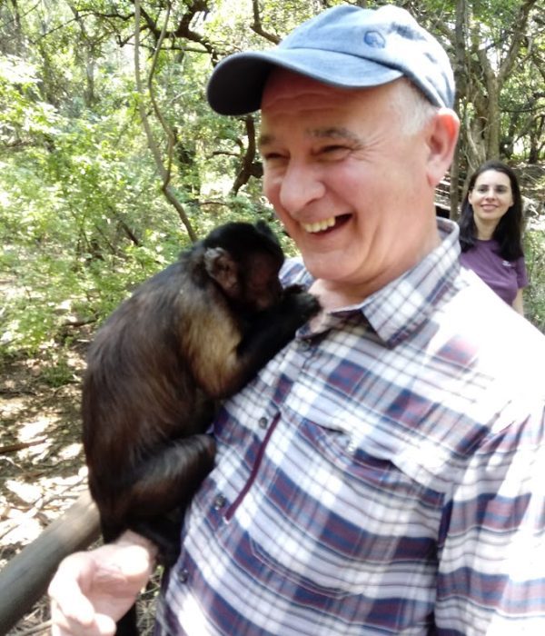Shy Monkey