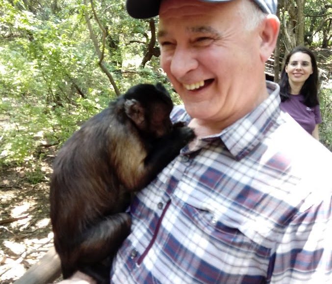 Shy Monkey